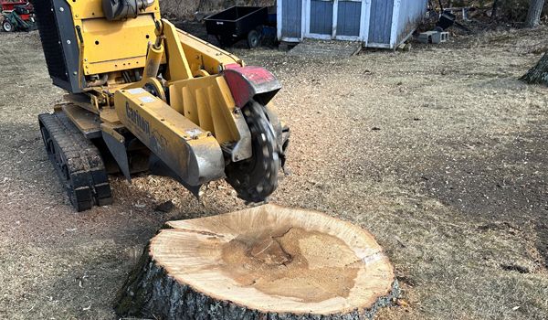 Learn More About Stump Grinding Stump grinding