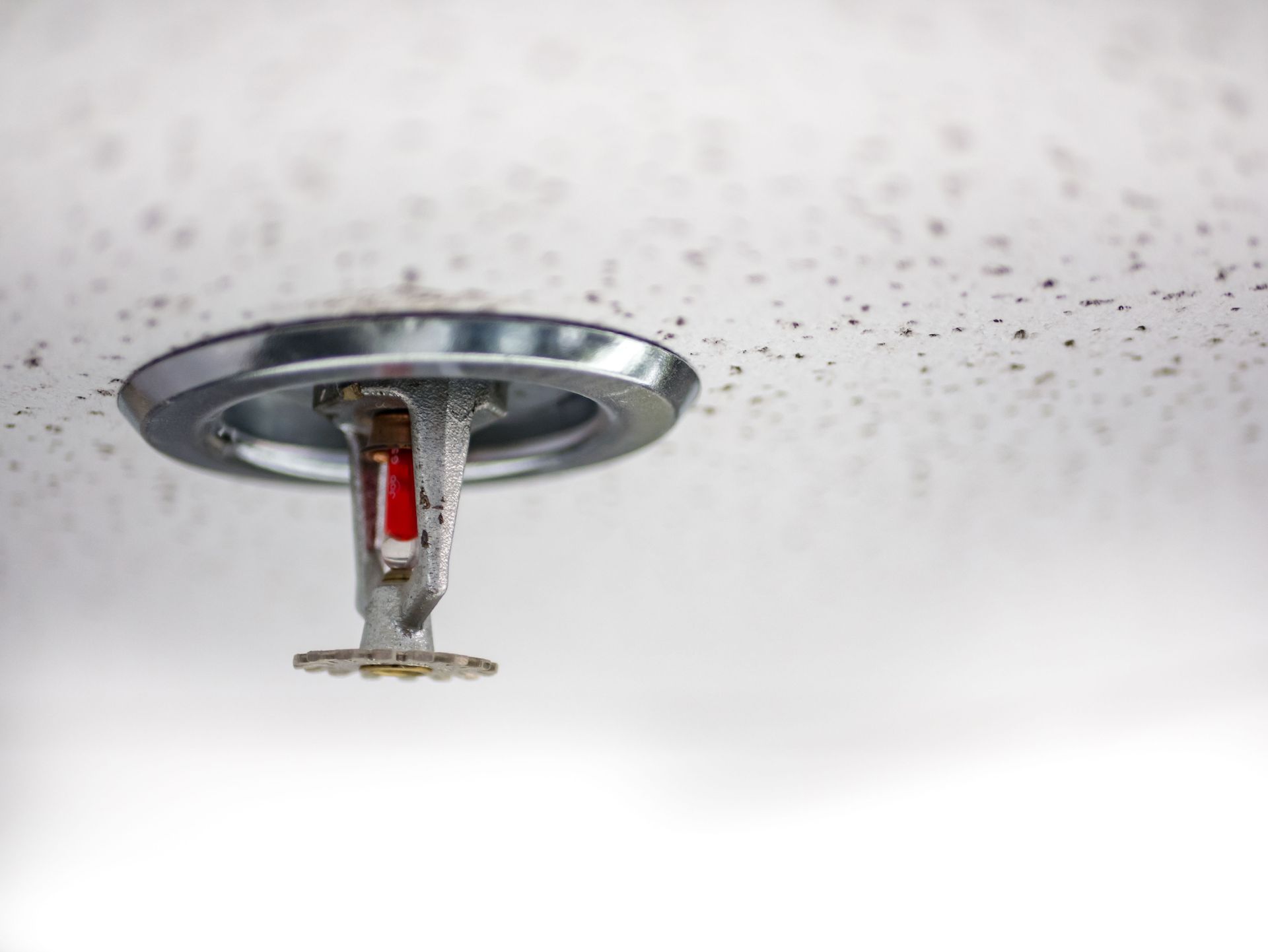 fire alarm services