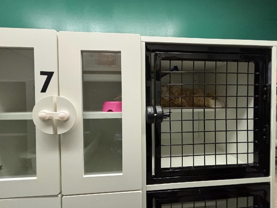 A cattery with the number 7 on the door