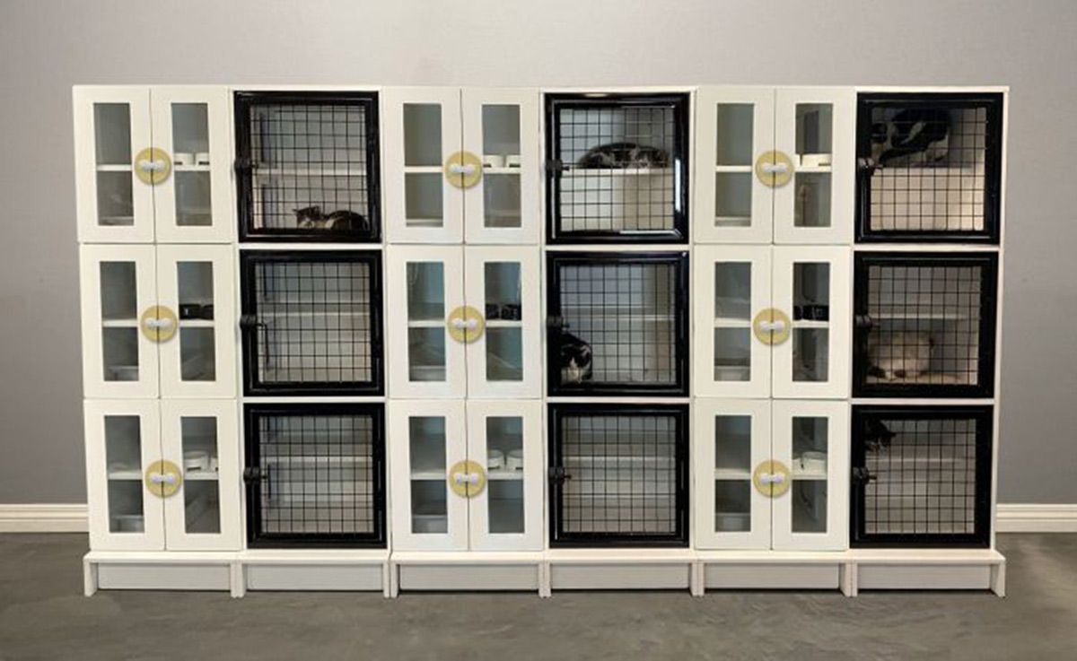 Cattery with black doors and glass doors