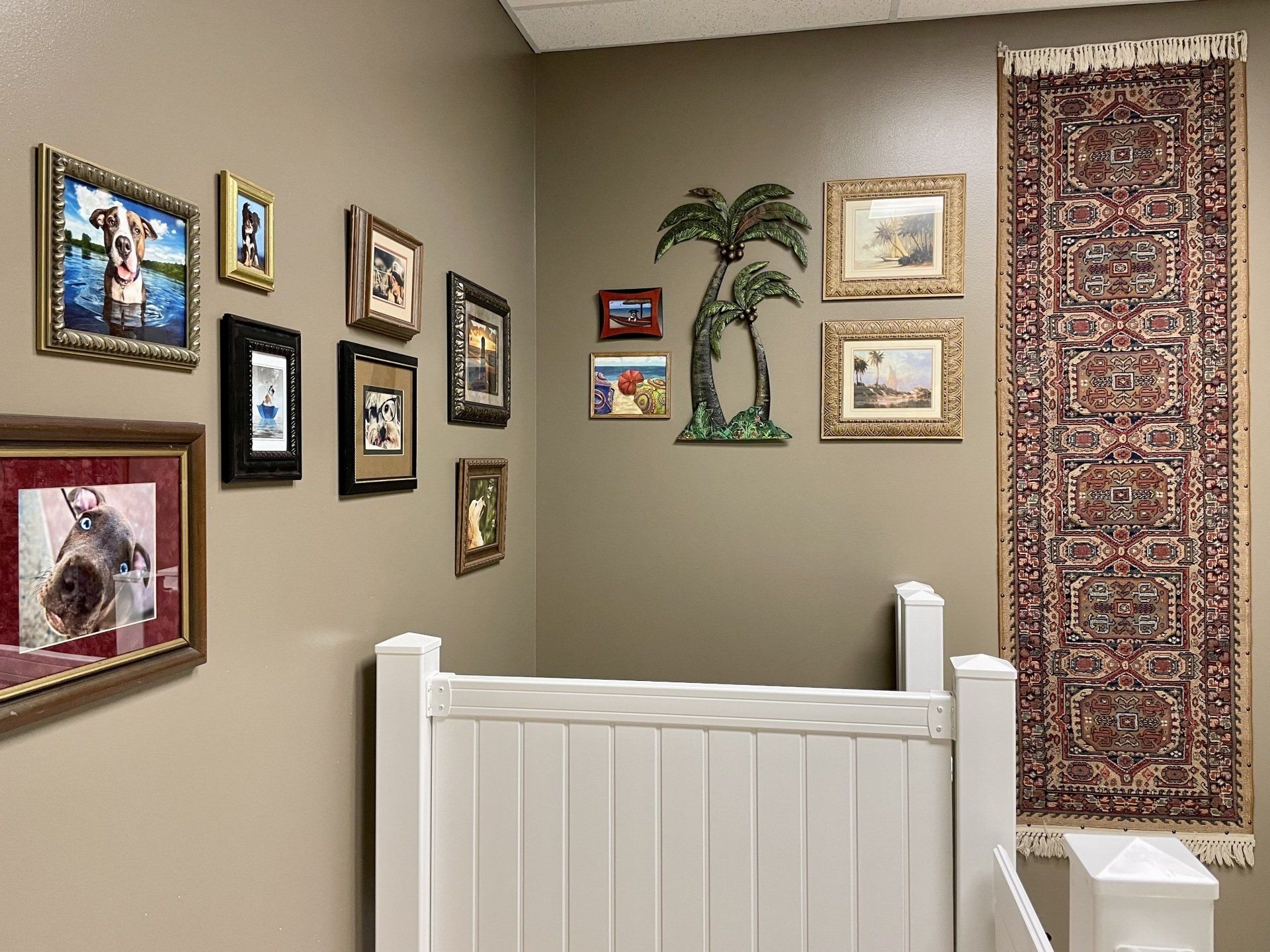 A room with pictures on the wall and a rug hanging on the wall.