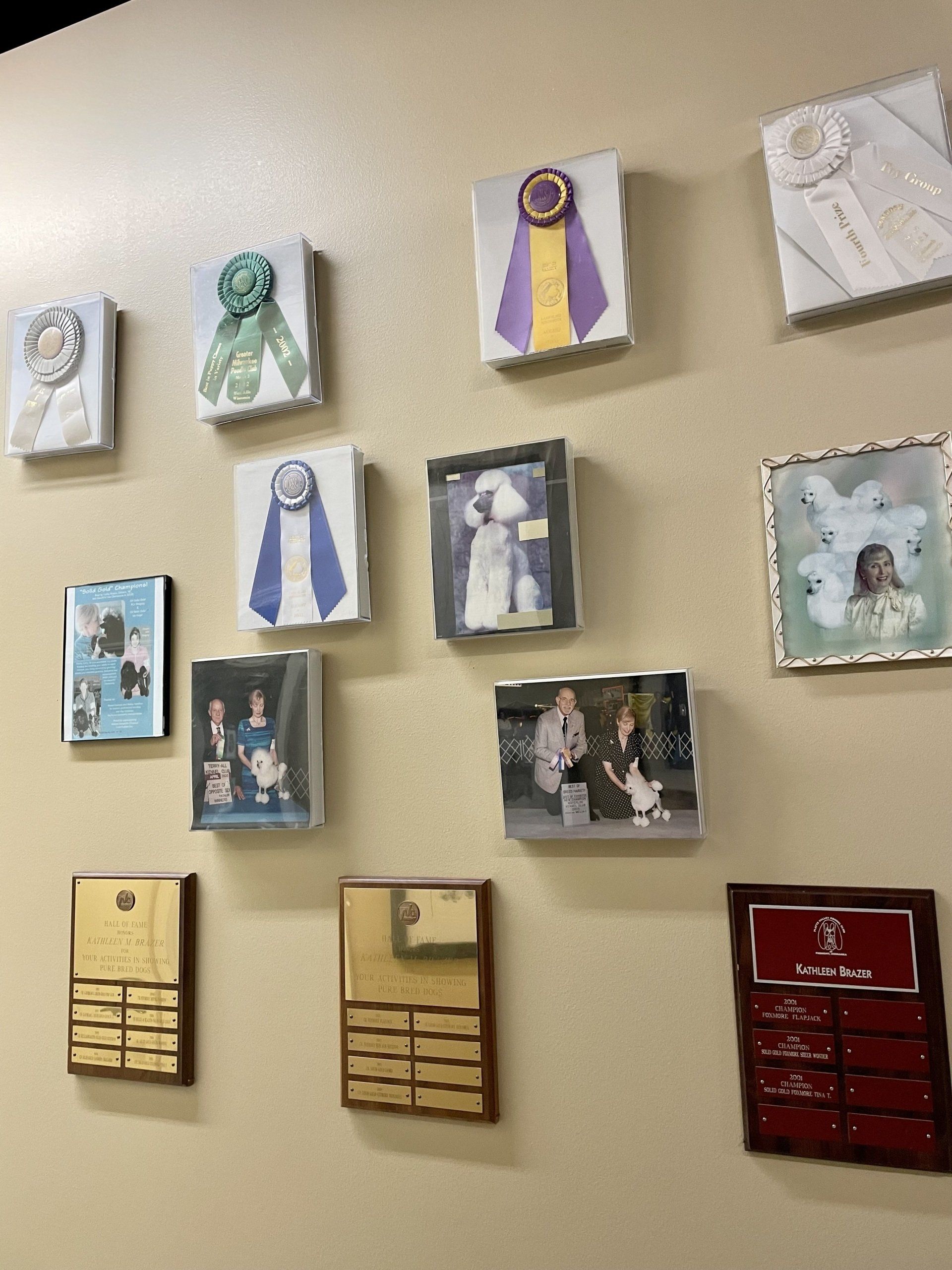 A wall with a lot of pictures and plaques on it