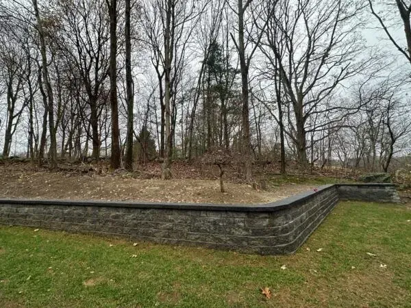 Stone retaining wall in a grassy yard, with bare trees and woods in the background.