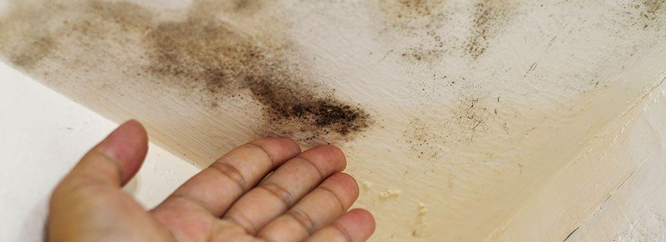 Damage Restoration