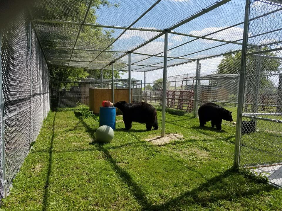 Customized Enclosures