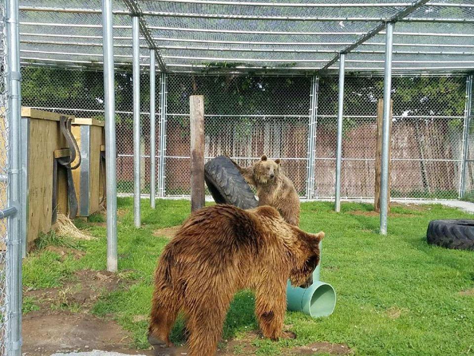 Customized Enclosures