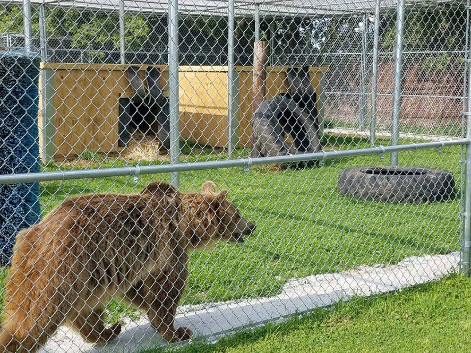 Customized Enclosures