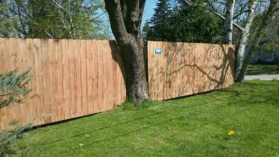 Wood Fences