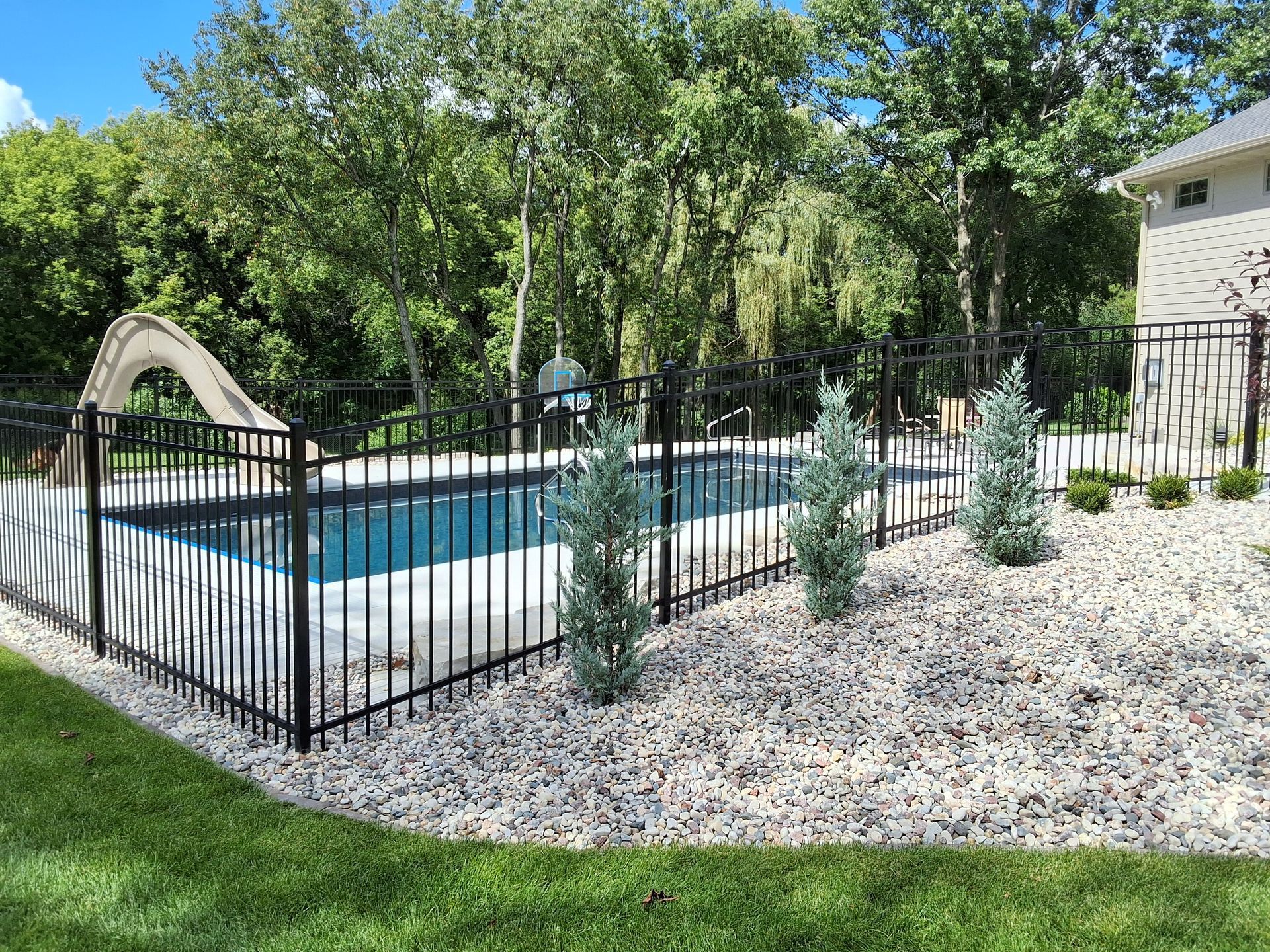 A black fenced pool with a stone border and three small blue trees in a backyard setting.