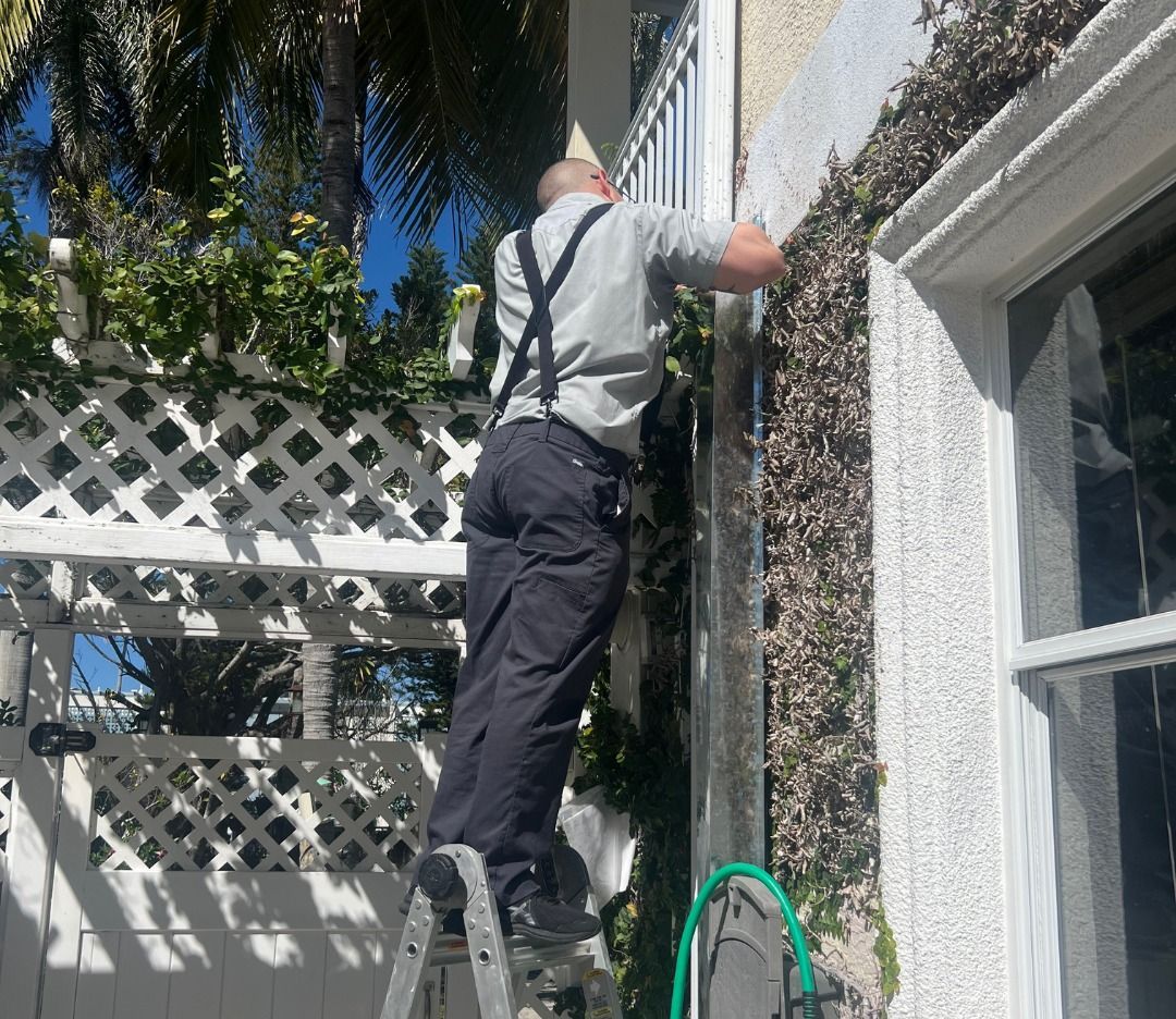 A man is standing on a ladder next to a building