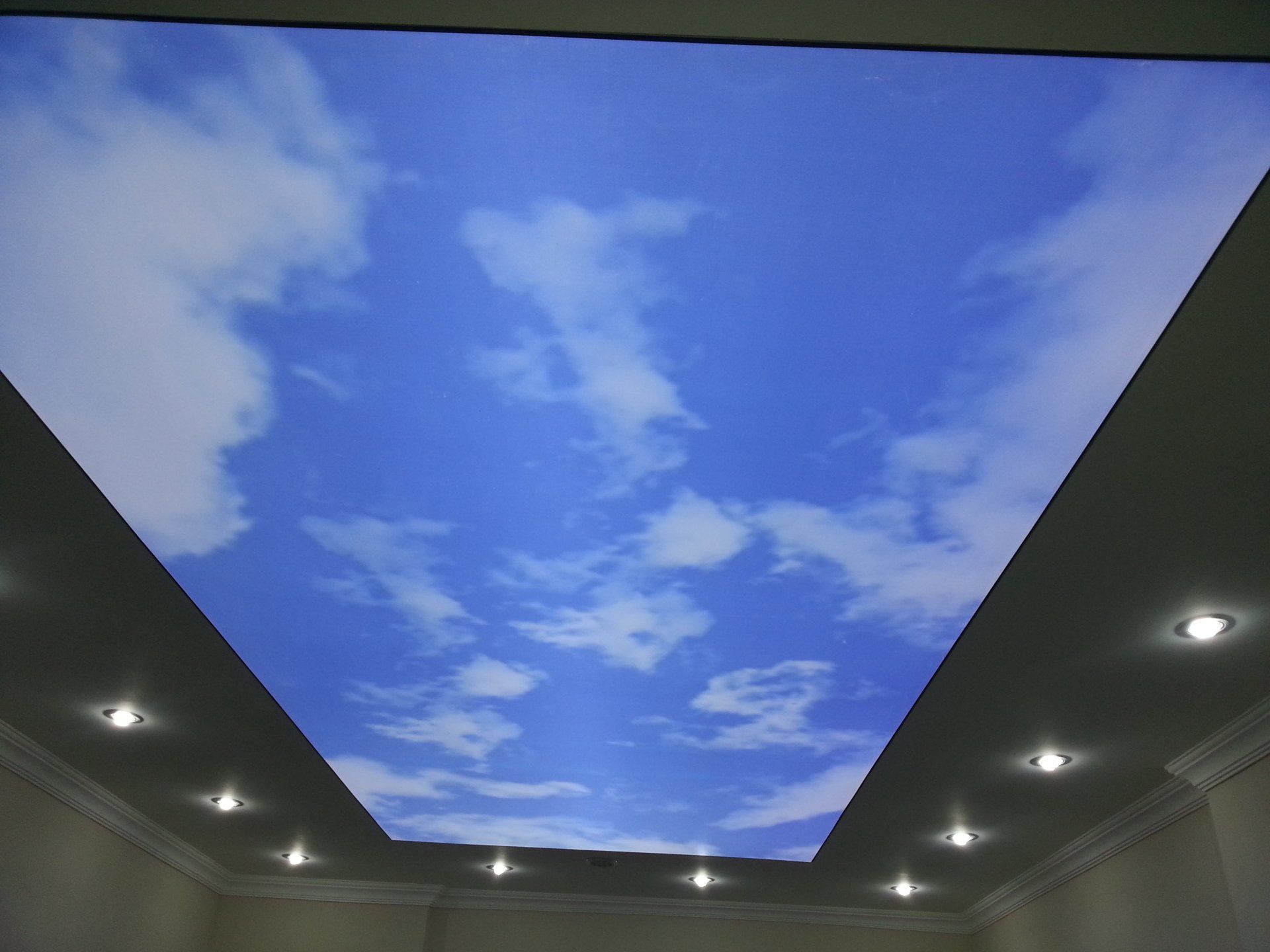 w. l. hall company premier exterior and exterior systems provider in the upper midwest     barrisol 214