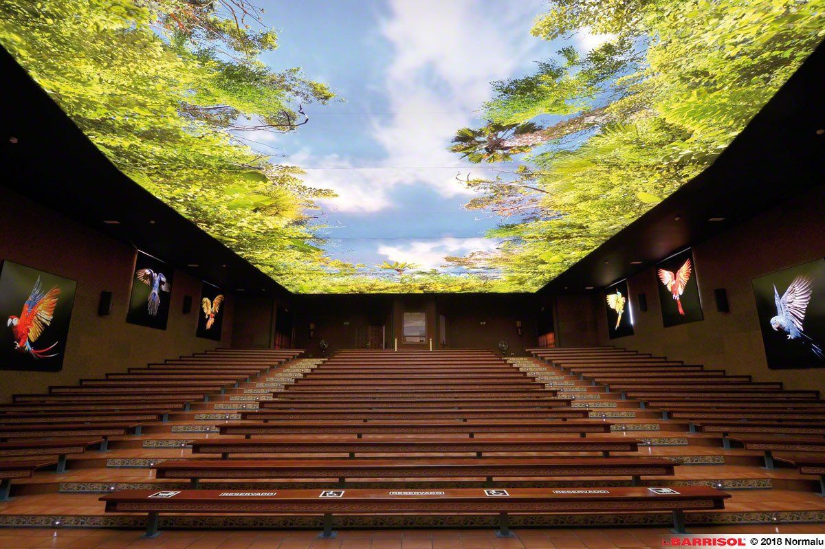 w. l. hall company premier exterior and exterior systems provider in the upper midwest     barrisol 207