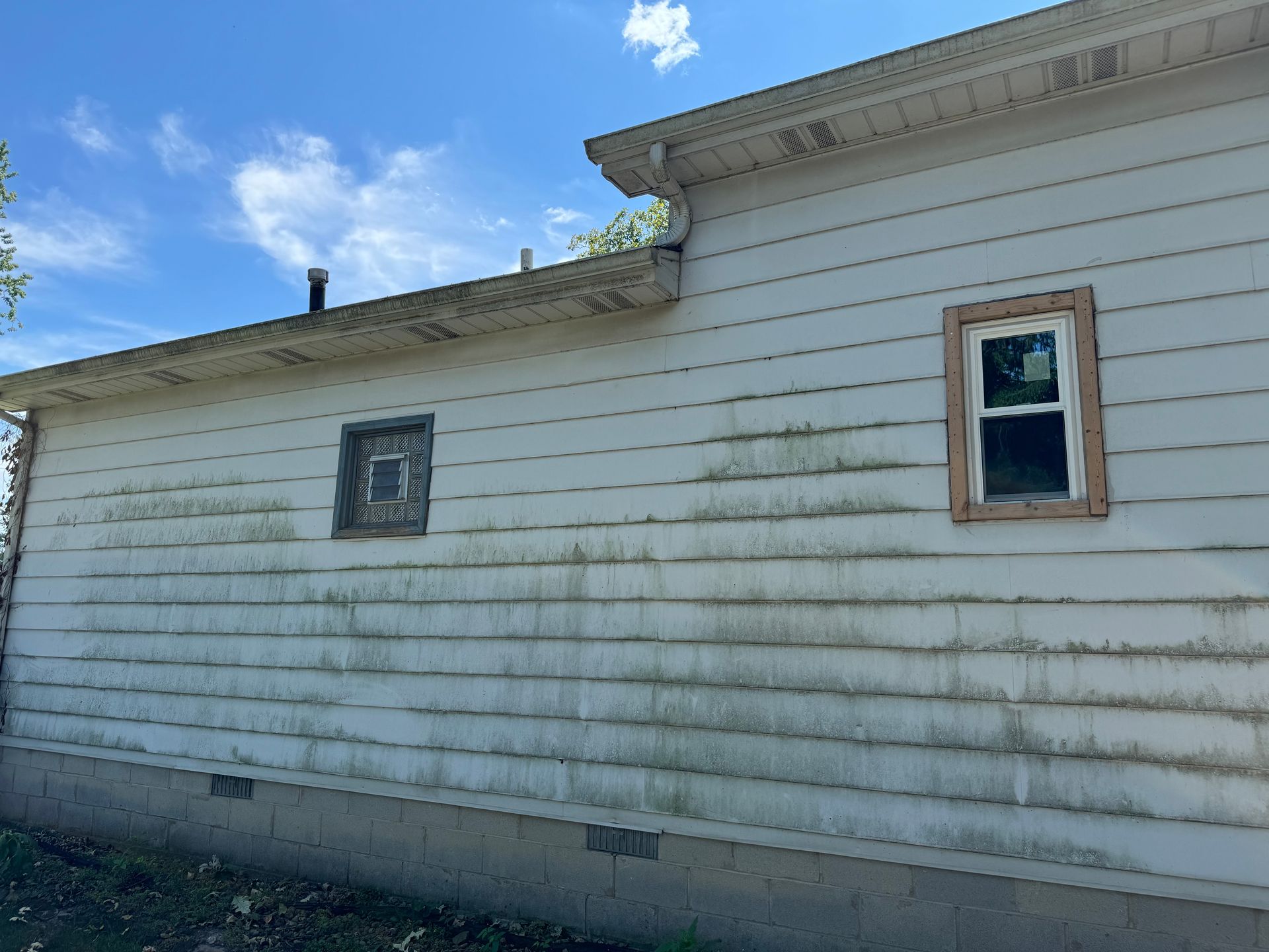 Side of a house with weathered, light-colored siding, two windows, and algae streaks. Blue sky in background.