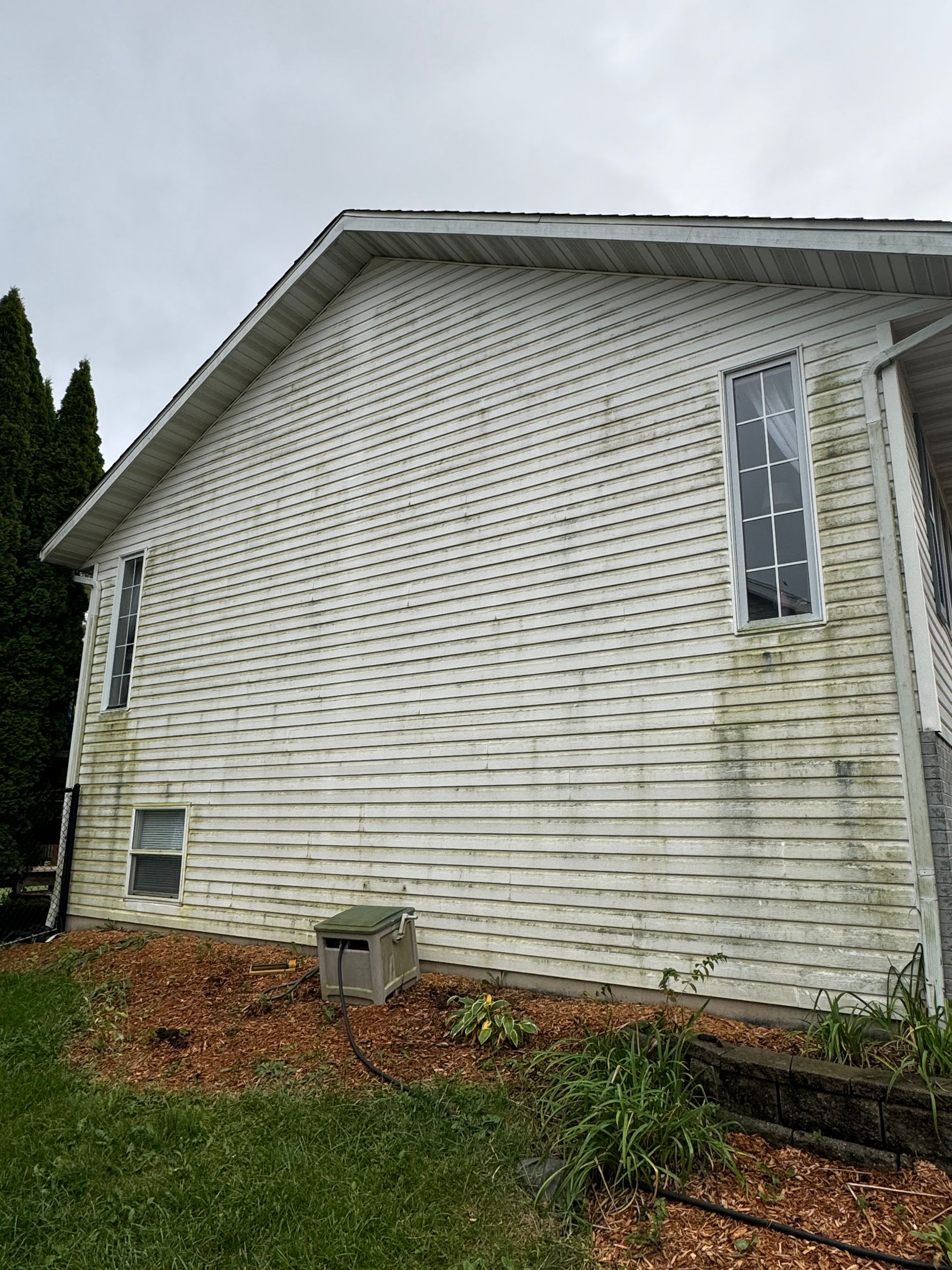 Side of a house with dirty white siding and two windows, under a gray sky. Green plants grow near the base.
