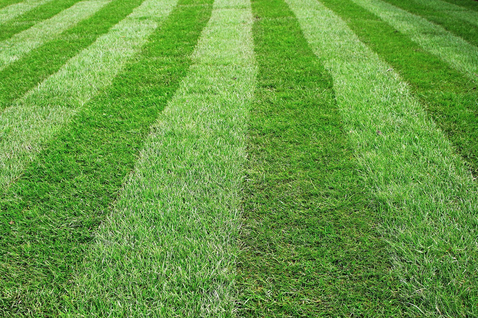 Close-up view of a freshly mowed lawn showing alternating light and dark green stripes.