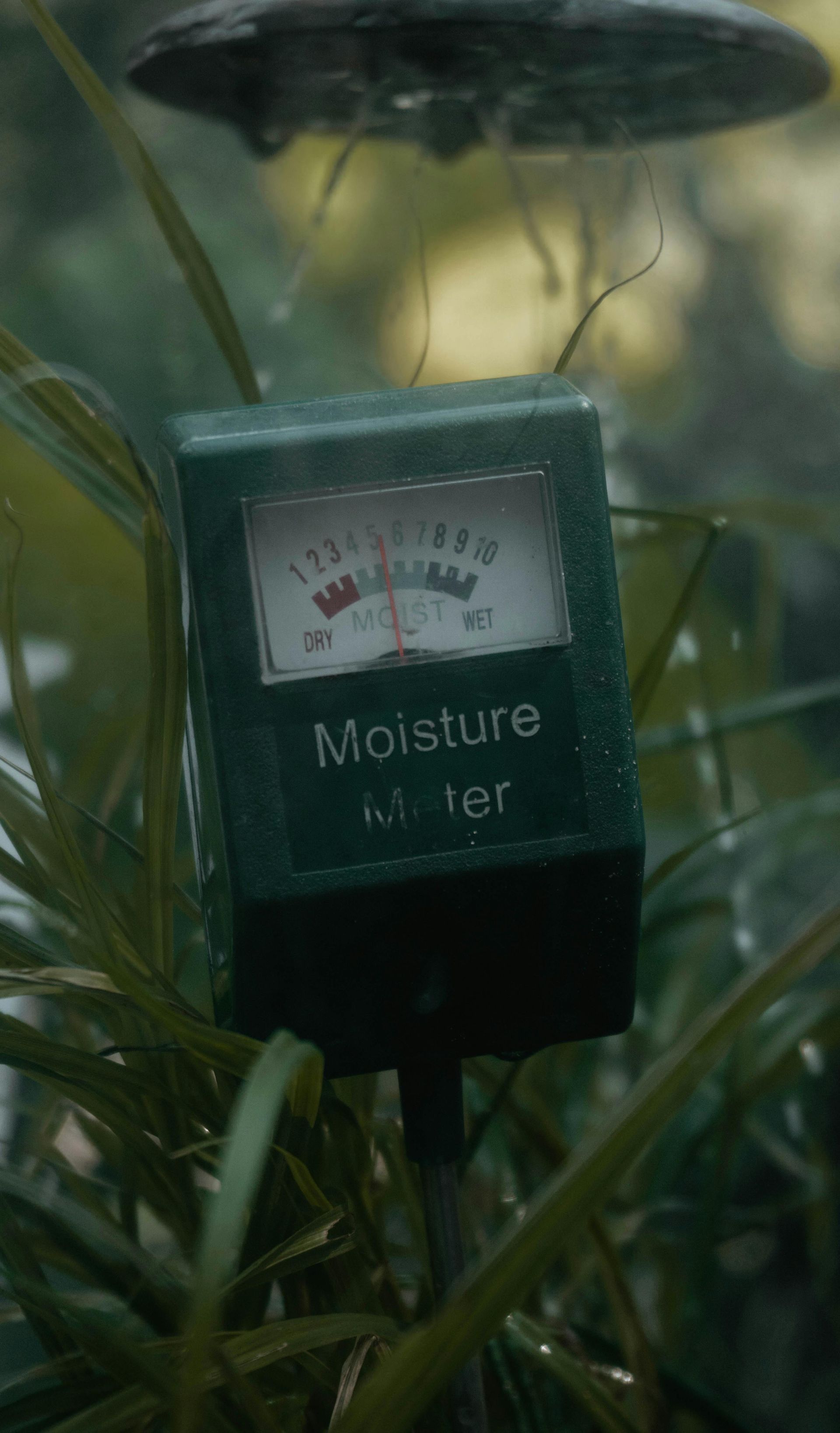 Moisture meter