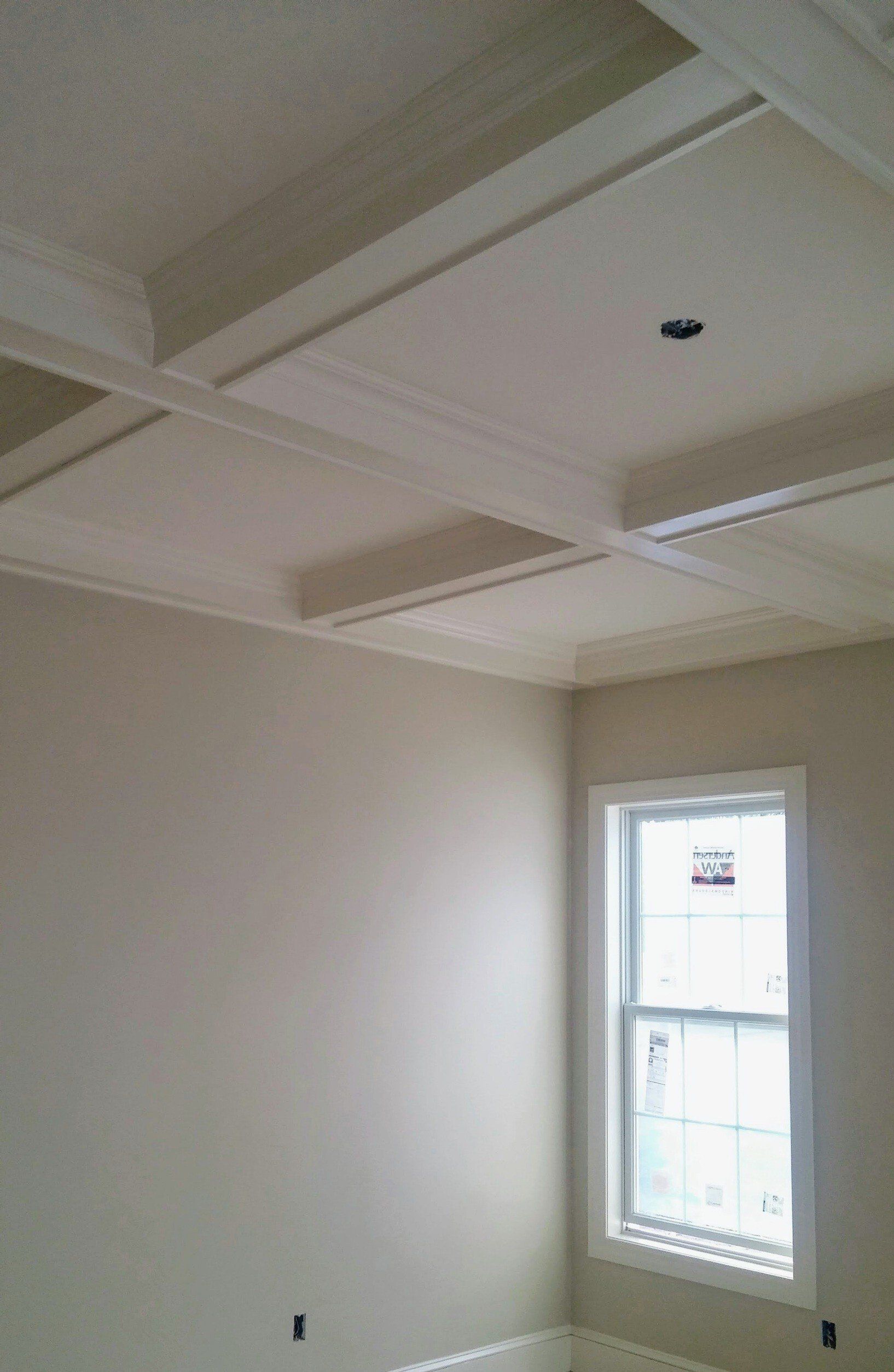 Genesis Painting work