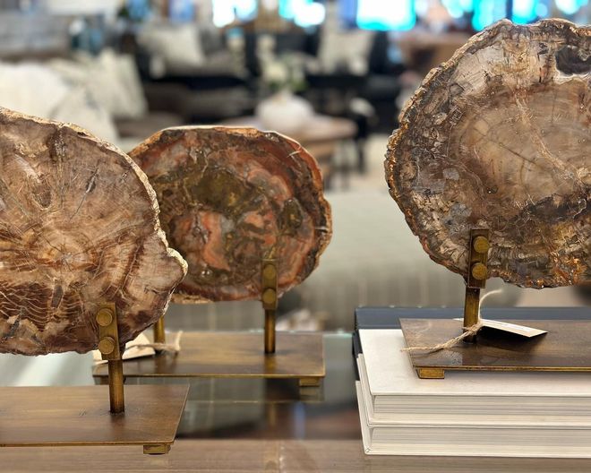 Three petrified wood slices on brass stands, with a blurred home interior background.