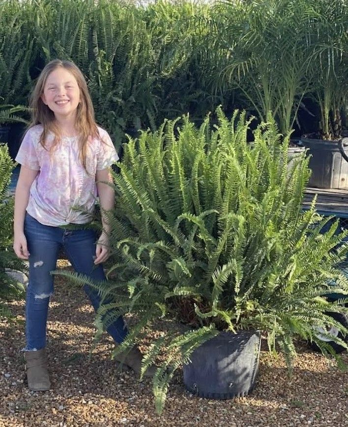 A little girl is standing next to a large potted plant