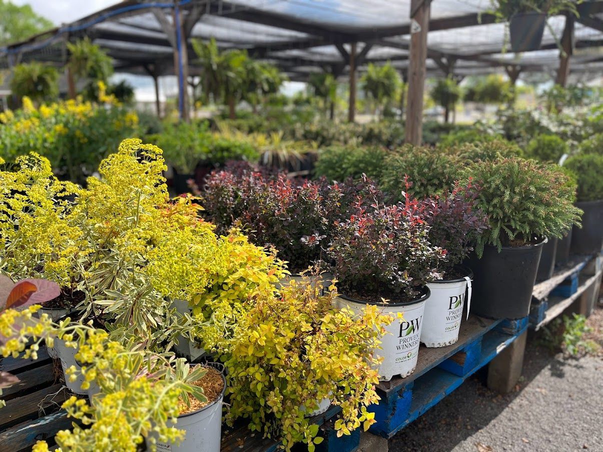 A bunch of potted plants are sitting on top of a wooden pallet