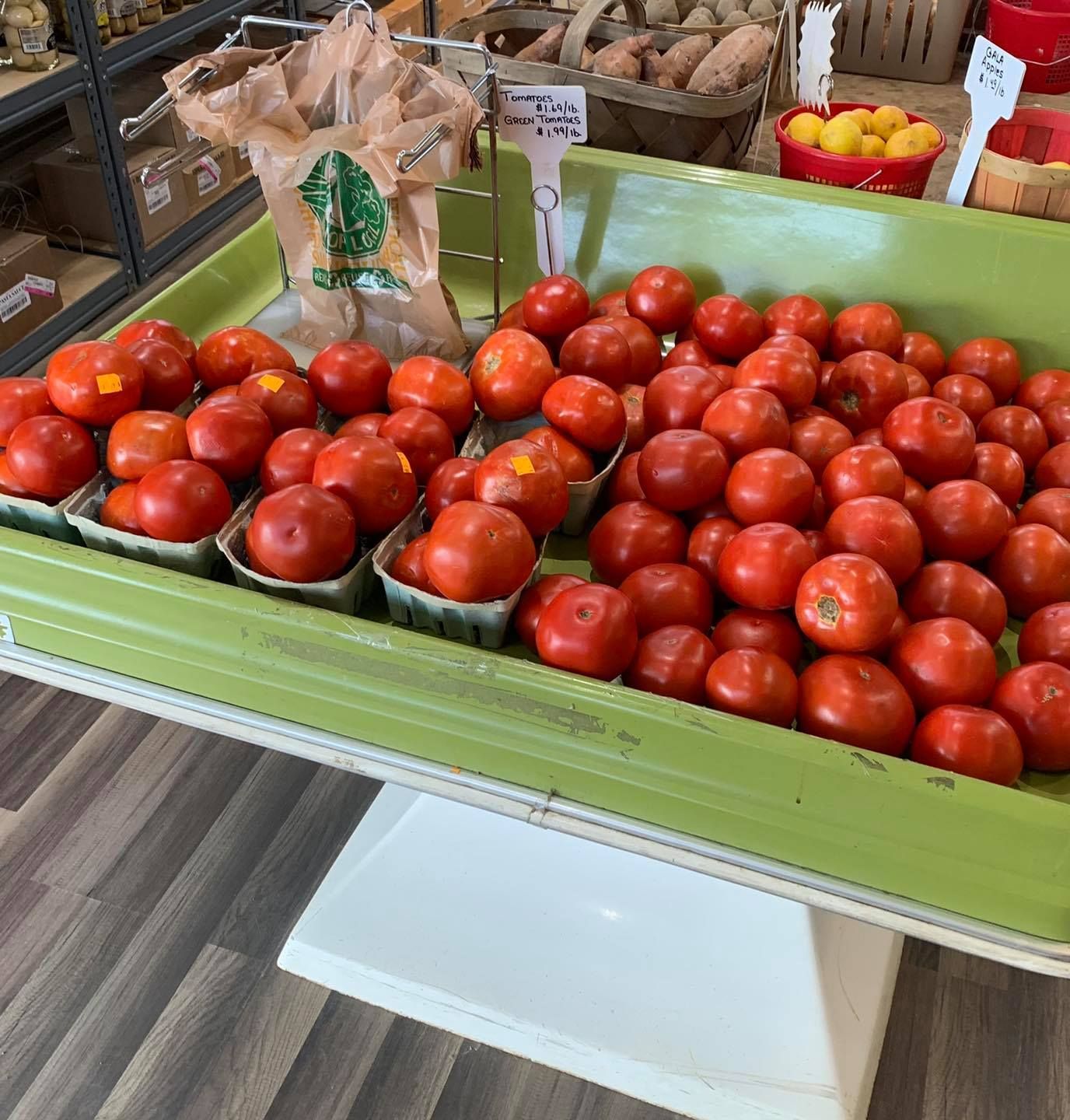 FARM TOMATOES