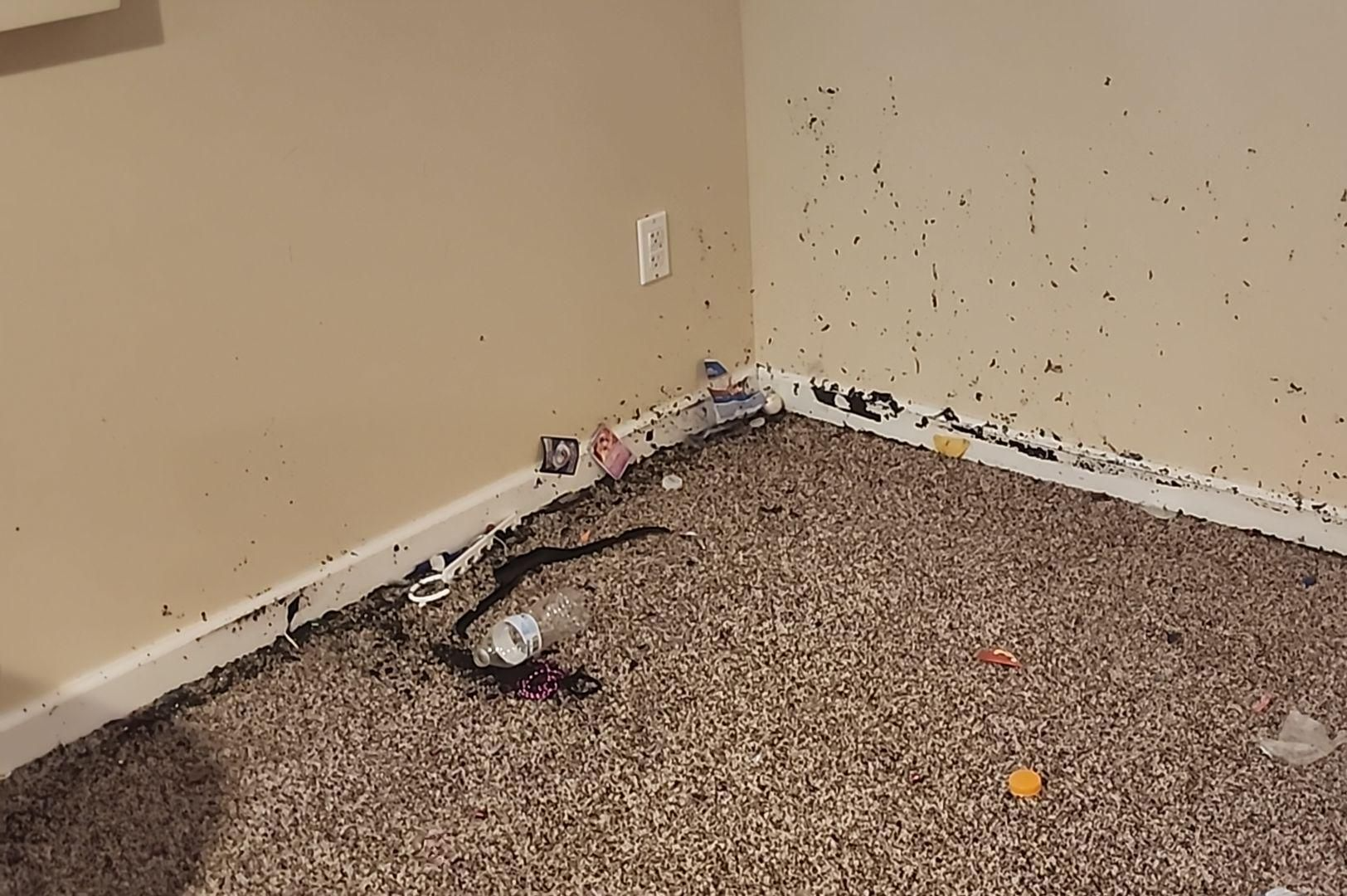 A room with a lot of trash on the floor and wall.
