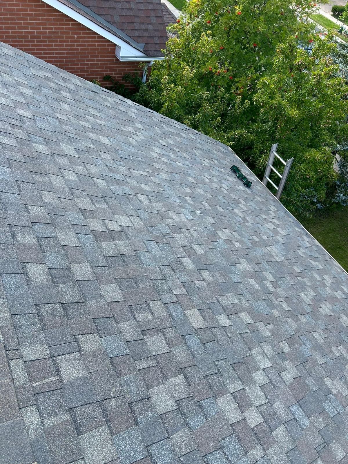 Close-up of a gray and brown shingle roof with a ladder propped against it, with a brick wall and trees in the background.