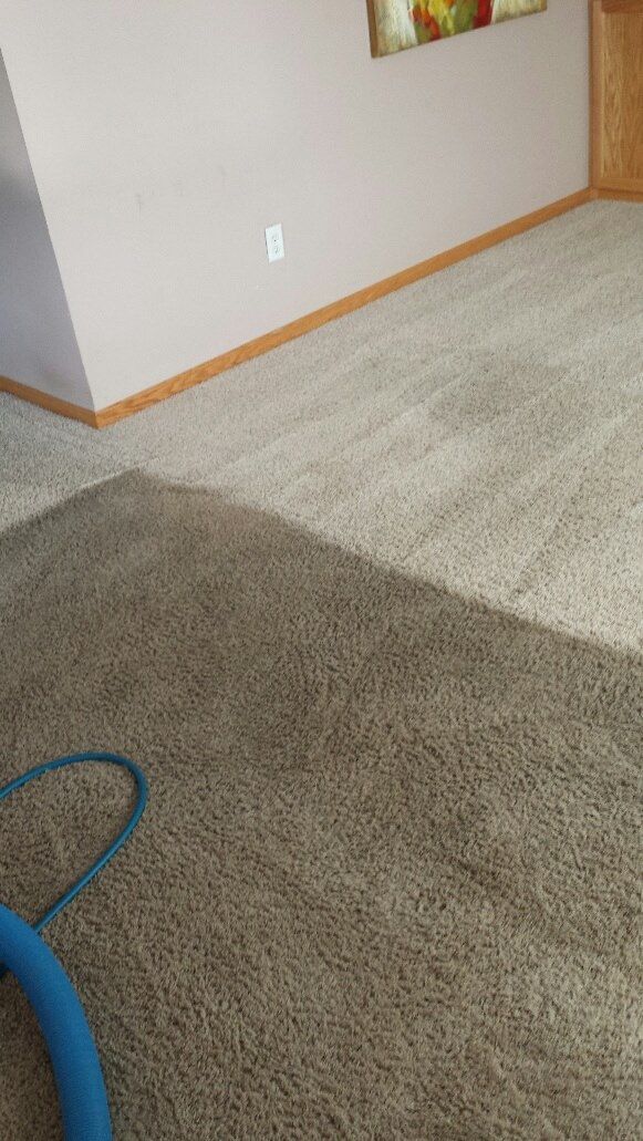 Carpeted room corner with beige walls, wood trim, and a blue hose on the floor
