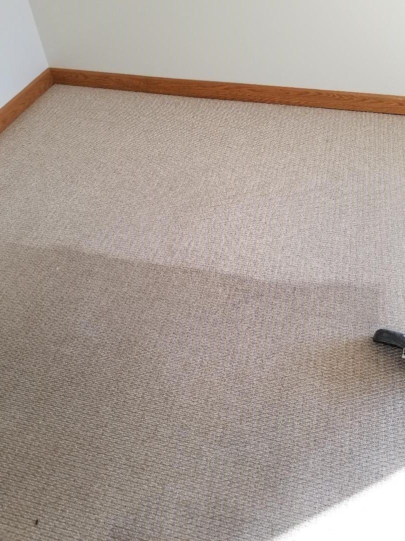 Empty carpeted room corner with beige carpet, white walls, wood trim, and a vacuum edge at right.