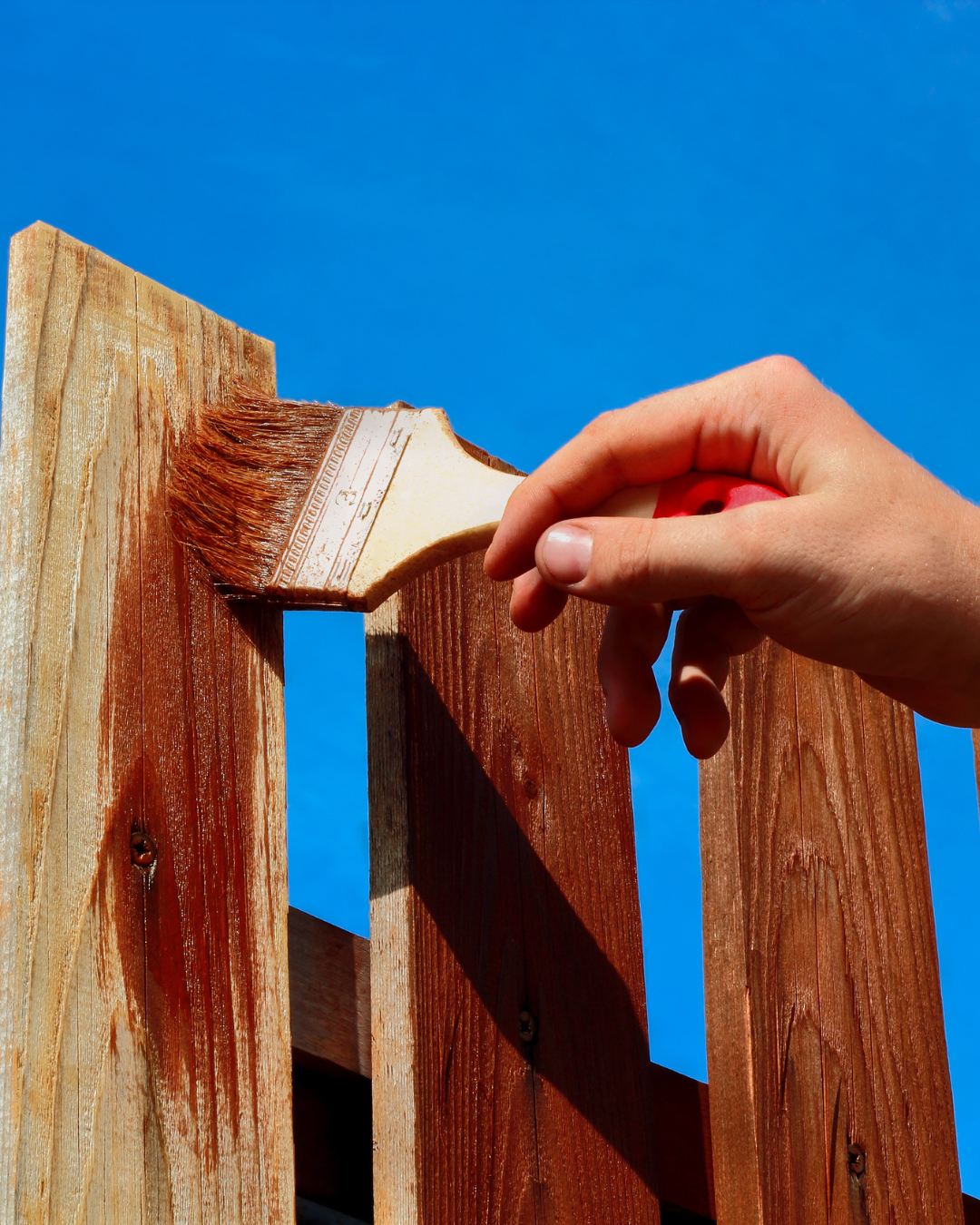 Hand painting a wooden fence with brown stain against a blue sky.