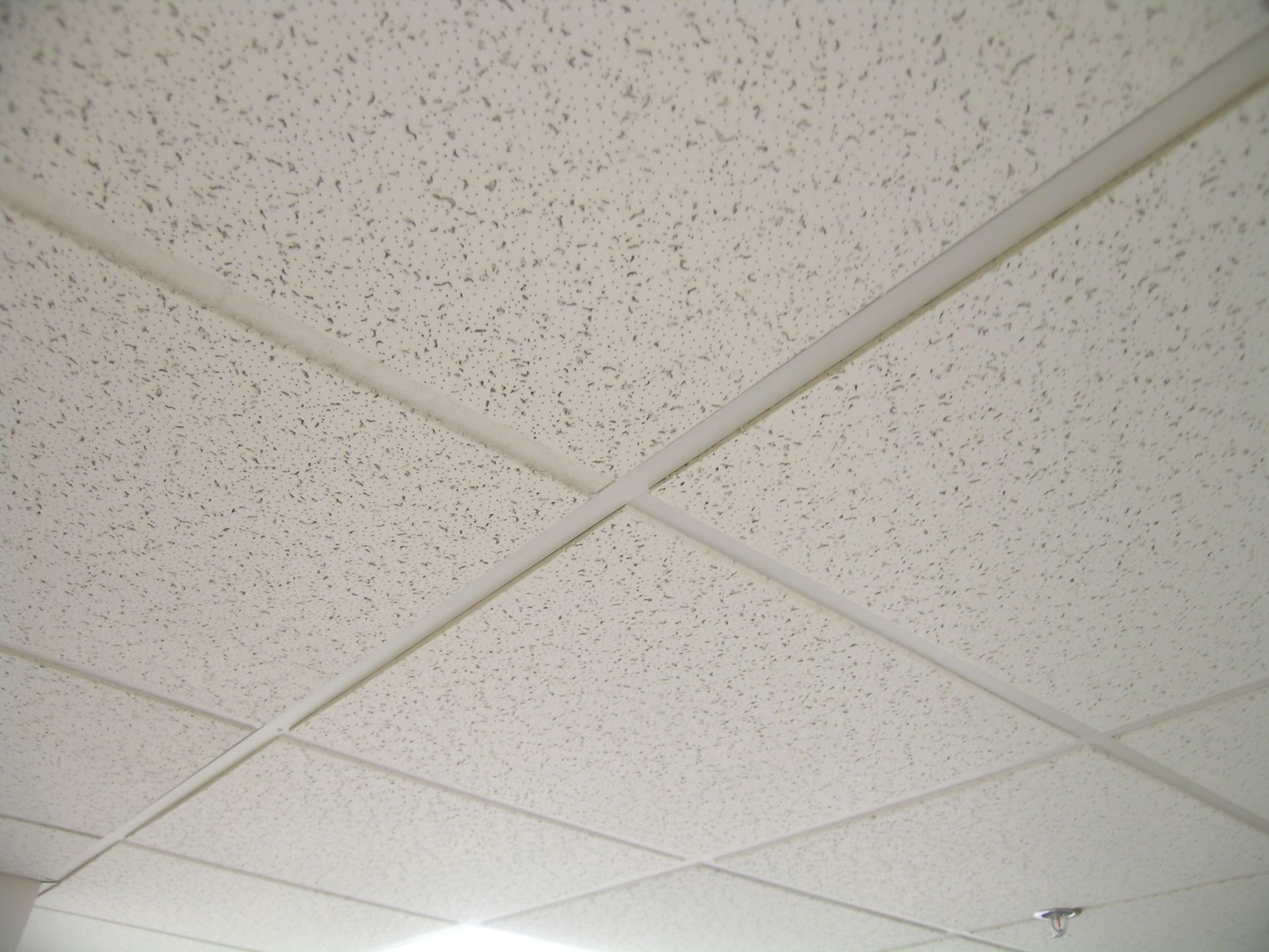 acoustic ceilings