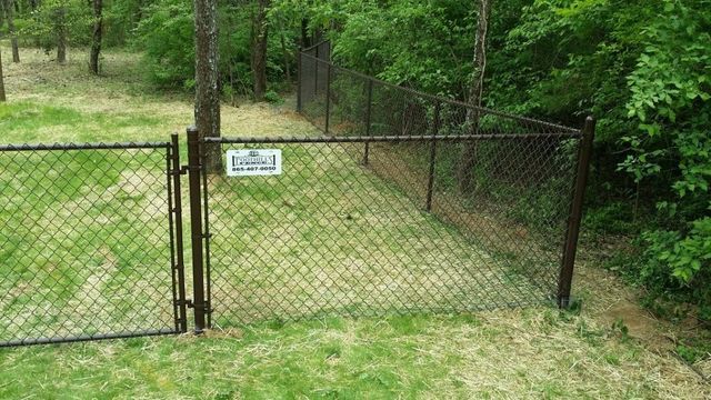 Chain Link Fence