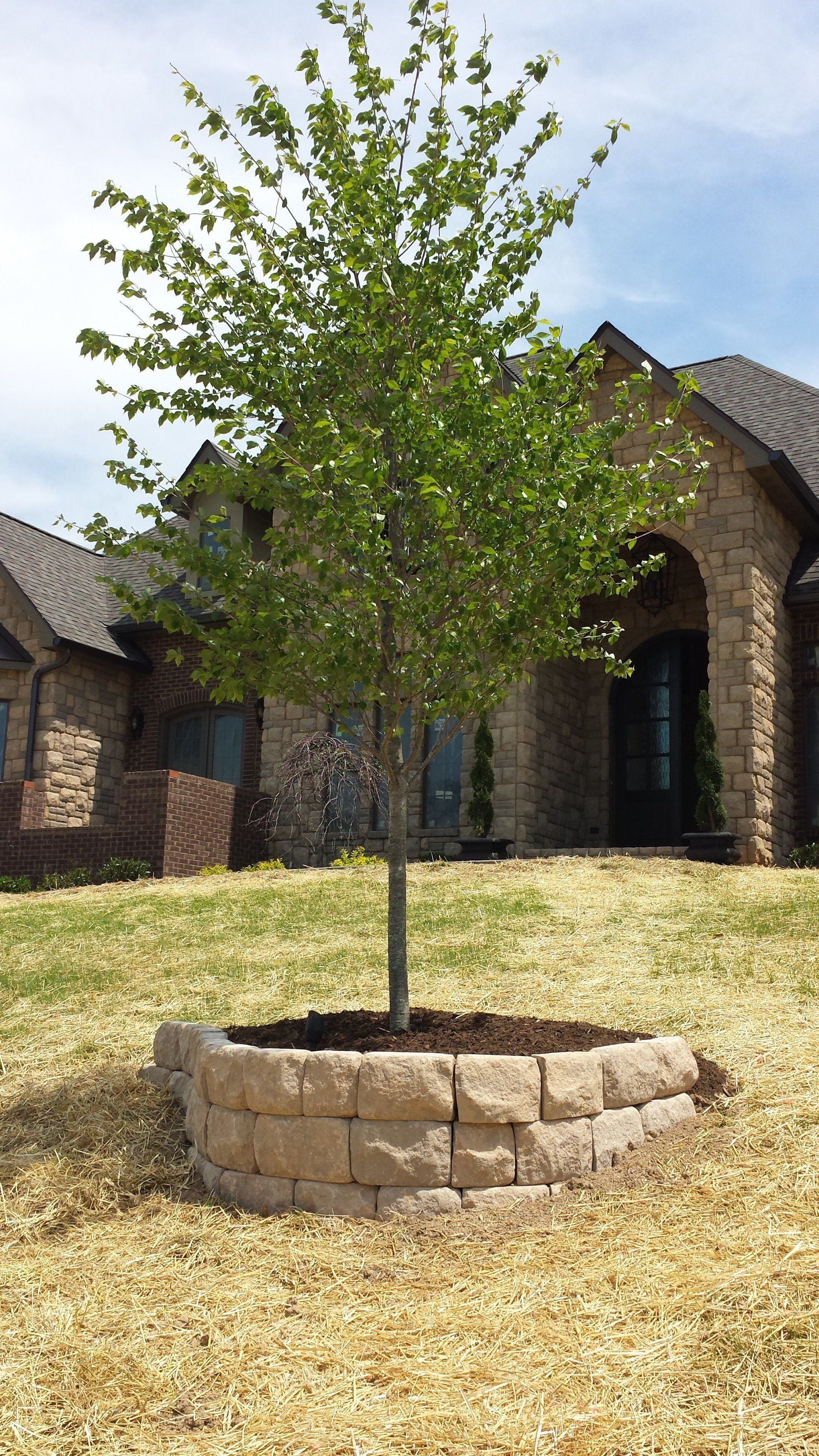 Green Sweep Landscape Designs