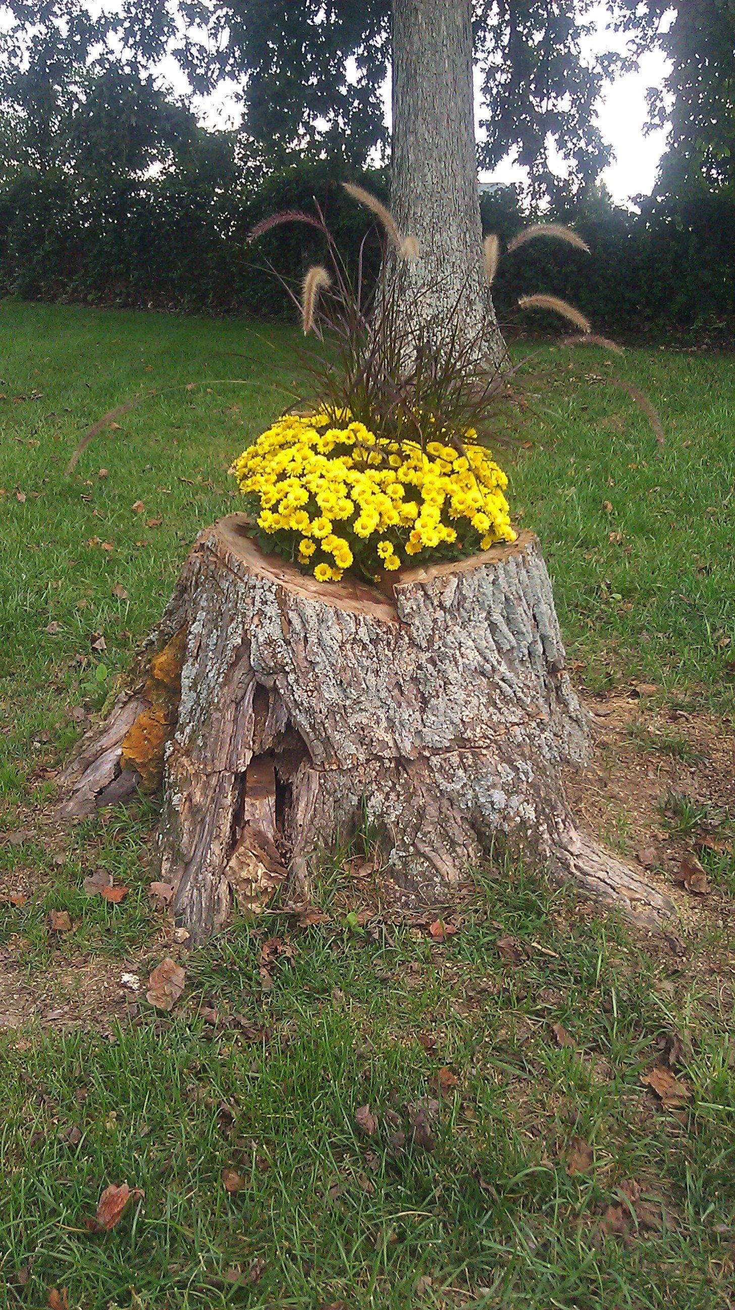 Green Sweep Landscape Designs