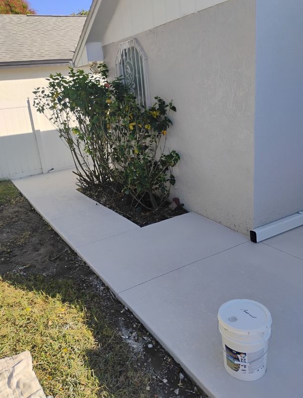 Side yard with a shrub by a stucco wall and a white bucket on a concrete walkway.
