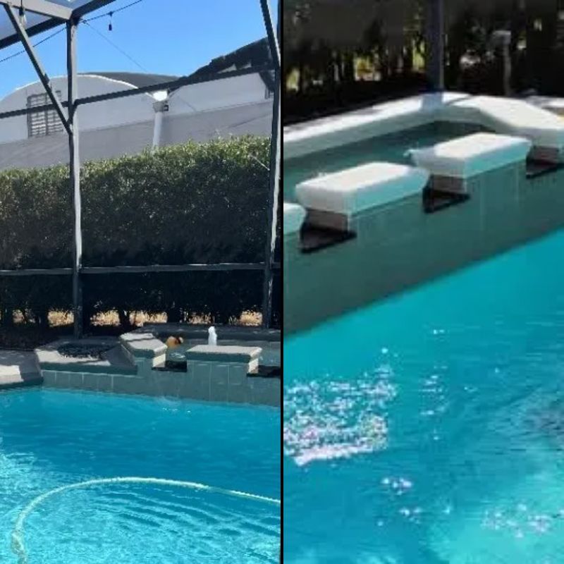 Outdoor swimming pool with white floating lounge seats and hedges in the background