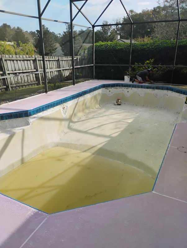 Empty in-ground pool with cloudy yellow water beside a fenced backyard and hedge.