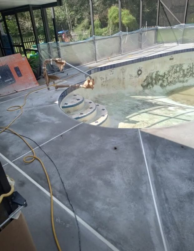 Empty concrete pool with hoses and netting, viewed from the edge in an outdoor enclosure