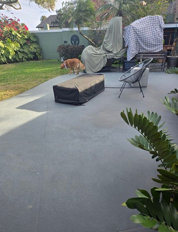 Backyard patio with a small dog near covered furniture, grass lawn, and a black chair.