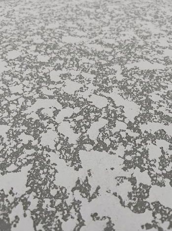 Grey and white speckled textured surface, resembling peeling paint or weathered concrete.