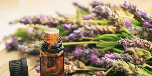 A bottle of essential oil is sitting next to a bunch of lavender flowers.