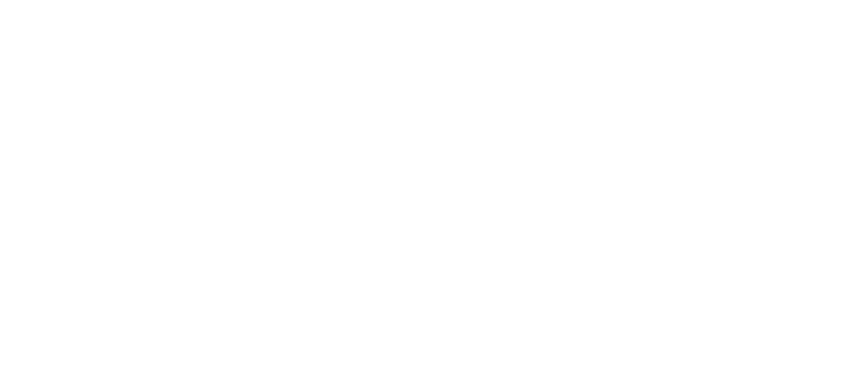 Boro Holistic Health - Logo