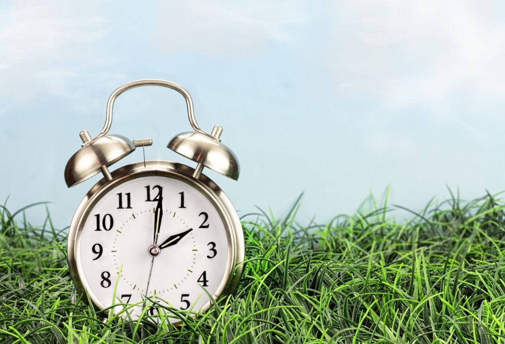 Vintage alarm clock in green grass under a blue sky
