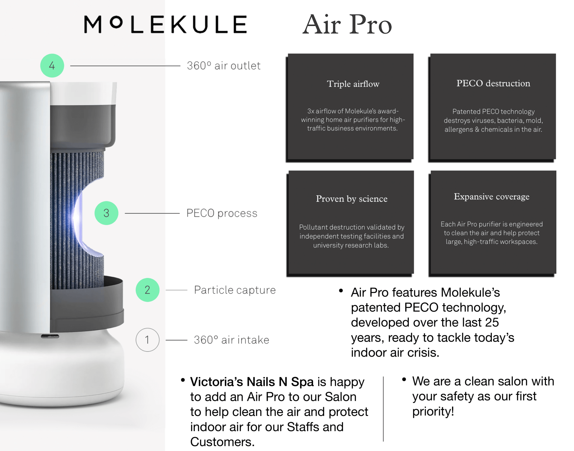 Molekule