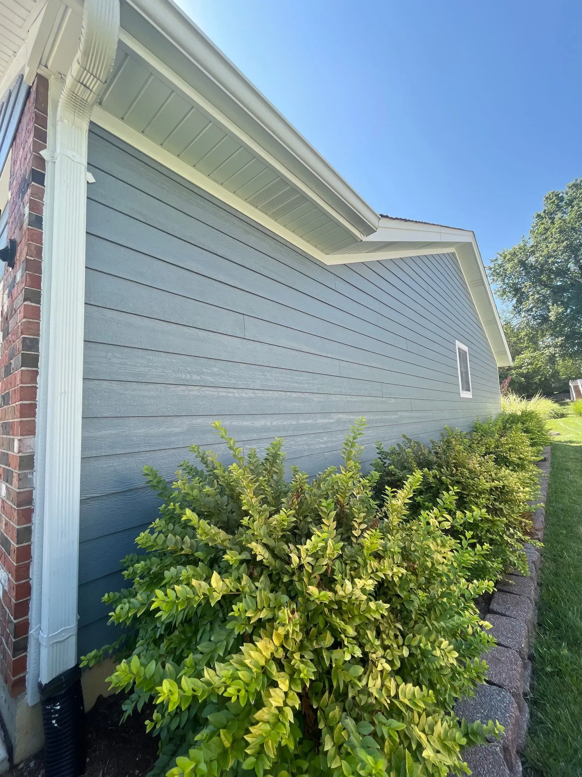 A house with a blue siding and a white trim is surrounded by bushes.