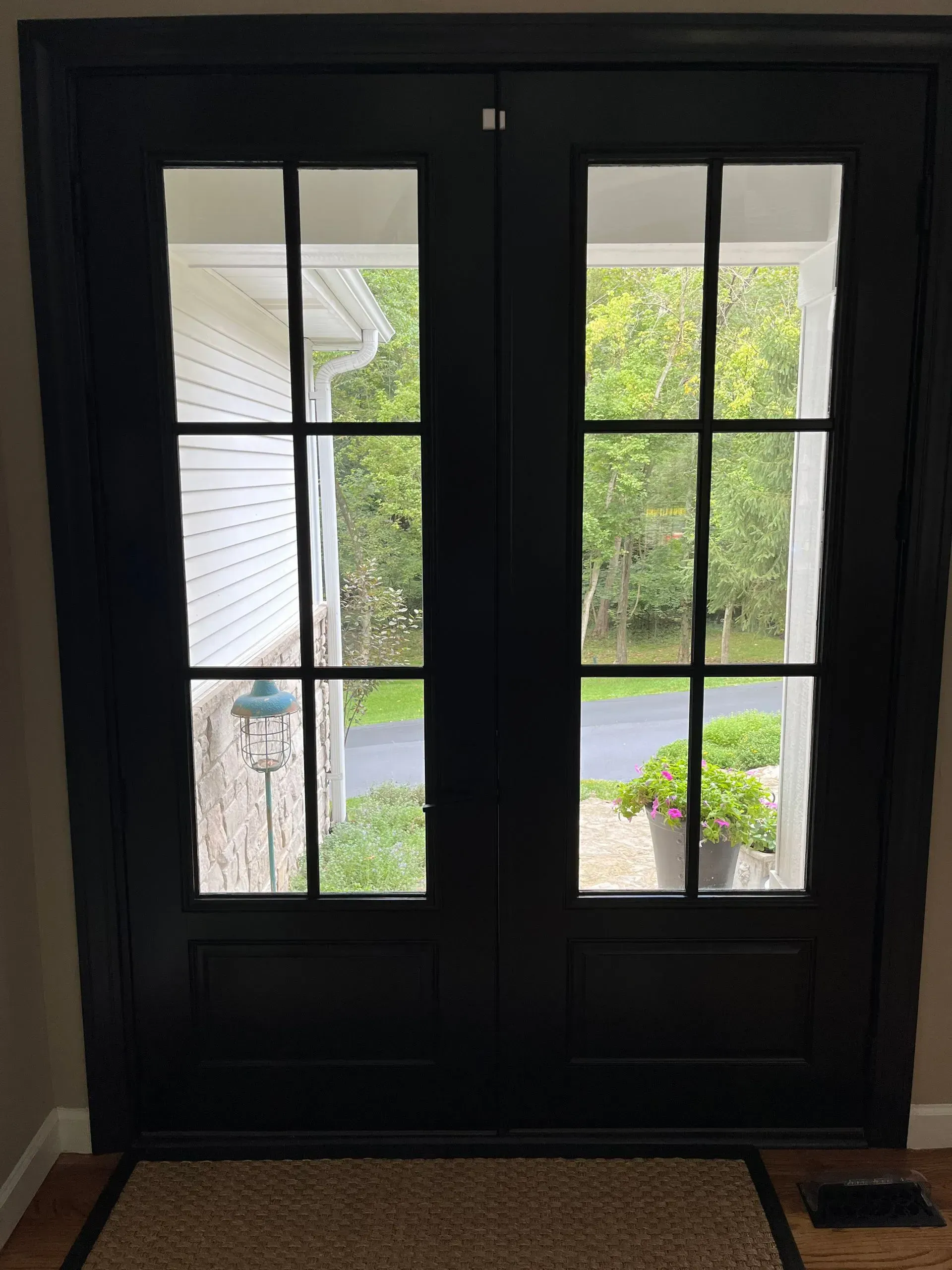 A black door with a view of a house through the windows.