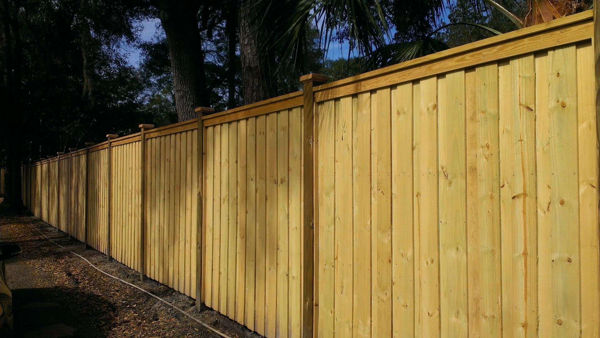 A side view of a tall, newly built wooden privacy fence in an outdoor setting with trees in the background.