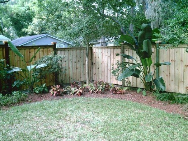 A backyard scene features a new light wood fence, green plants, and a small patch of grass under trees.