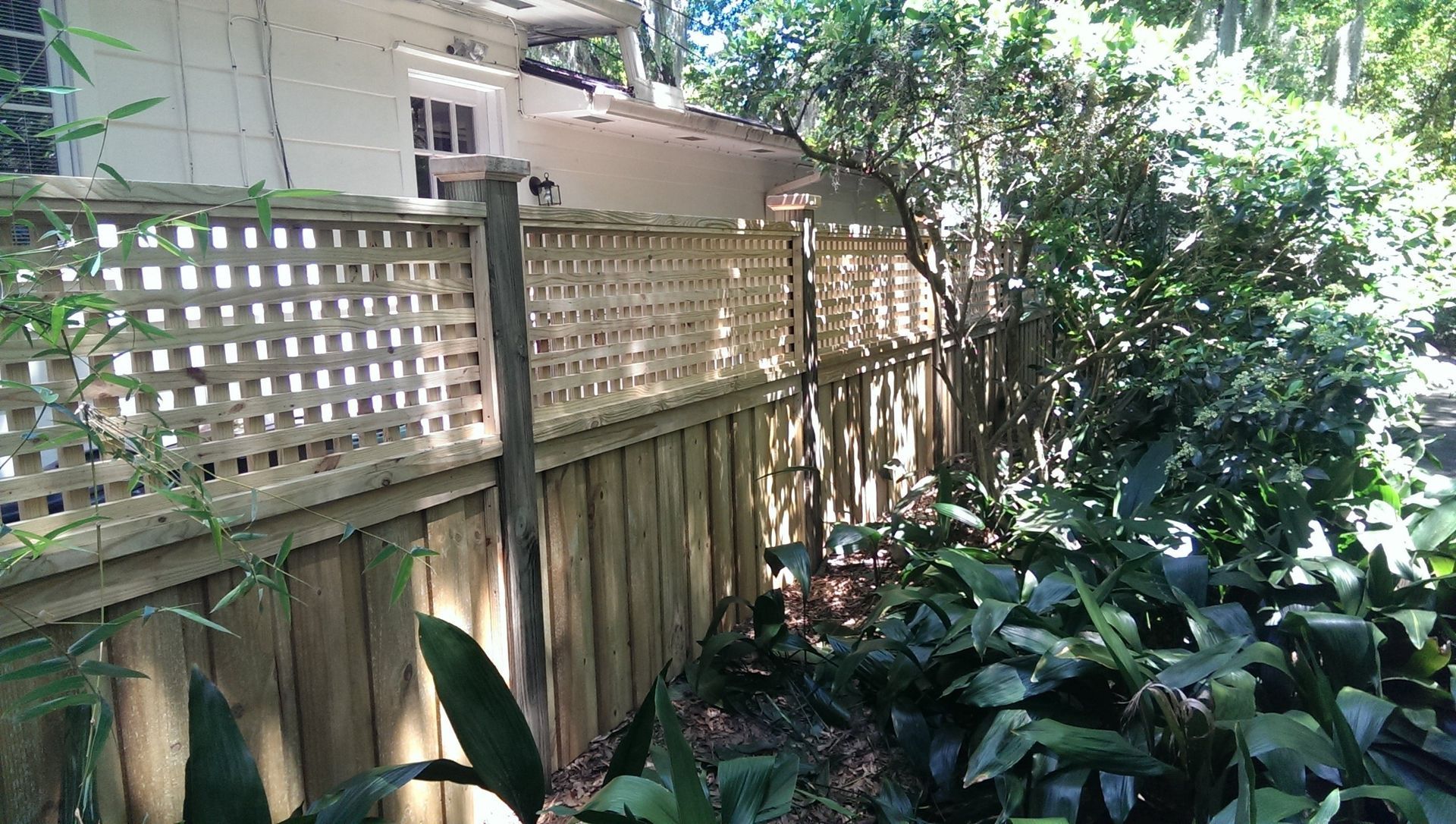 A wooden fence with a lattice top section sits in a backyard next to dense green foliage and a white house.