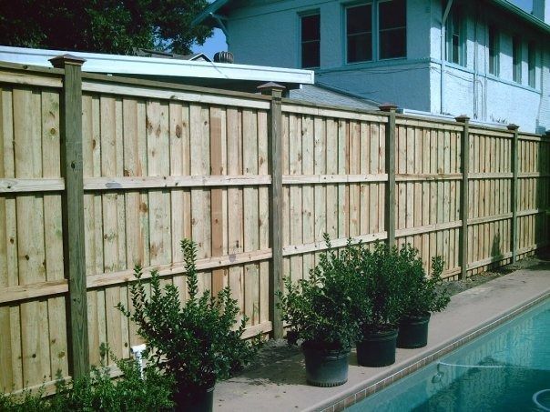 A wooden privacy fence borders a swimming pool, with several potted shrubs lining the concrete deck.